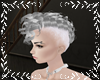 Mohawk Gray