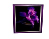PURPLE LILLY PICTURE