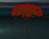 Rose Tree
