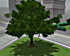 City Tree
