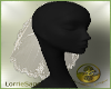 LS~Canceria Veil