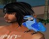 PHV Pirate Blue Macaw (M