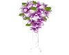 White/Purple Flowers