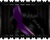Black/Purple Clover