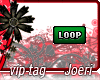 j| Loop
