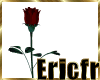 [Efr] Rose in a vase