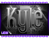 x: Custom Kyle Eyep.