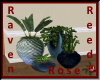 RVN - CSA Plant Set