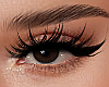 ✔ Lash 01
