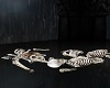 skeleton bones