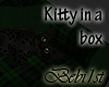 [Bebi] Kitty in a box