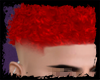 Boladin Red Curly