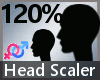 (YC) Head Scaler 120%