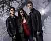 Damon/Elena/Stefan