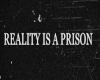 Reality Is Prison