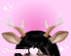 ♡  Deer Antlers