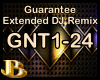 Guarantee DJ Remix