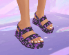 Purple x Slides x C