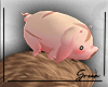 Pet Piggy Head