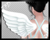 [TFD]Angel Wings