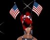 DW AMERICAN FLAG TACI