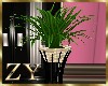 ZY: Office PLant