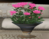 O*Vase & pink Roses