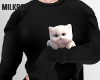BLK Sweater and Cat