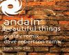 Andian-Beautiful things