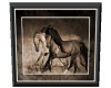 'Wild Horses Picture