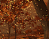 Fall Tree w Lights