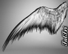 Grey Swan Wings