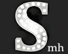 Silver Letter S