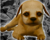 [AM]Cute Brown Dog