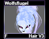 Wolfsflugel Hair F V3