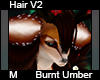 Burnt Umber Hair M V2