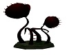 venus trap 5