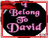 I Belong To David