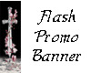 ST} Flash Promo Banner