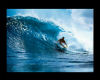 Surf Wall Pic