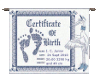 JjG Birth Certificate