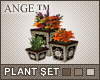 Ange Plant Set