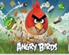 ANGRY BIRDS GAME
