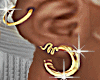 Earrings Gold Hoops