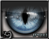 [PnX] Blue Cat Eyes (M)
