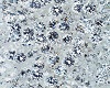 Diamond Youtube Player