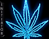 ♞Weed Light