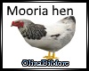 (OD) Mooria hen
