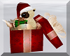 *A*Christmas Bear Gift