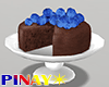 Blueberry Choco Cake